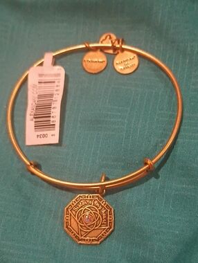 NWT Alex and Ani Gold Tone "Sister Of My Heart" ❤️Bridesmaid Charm Bracelet